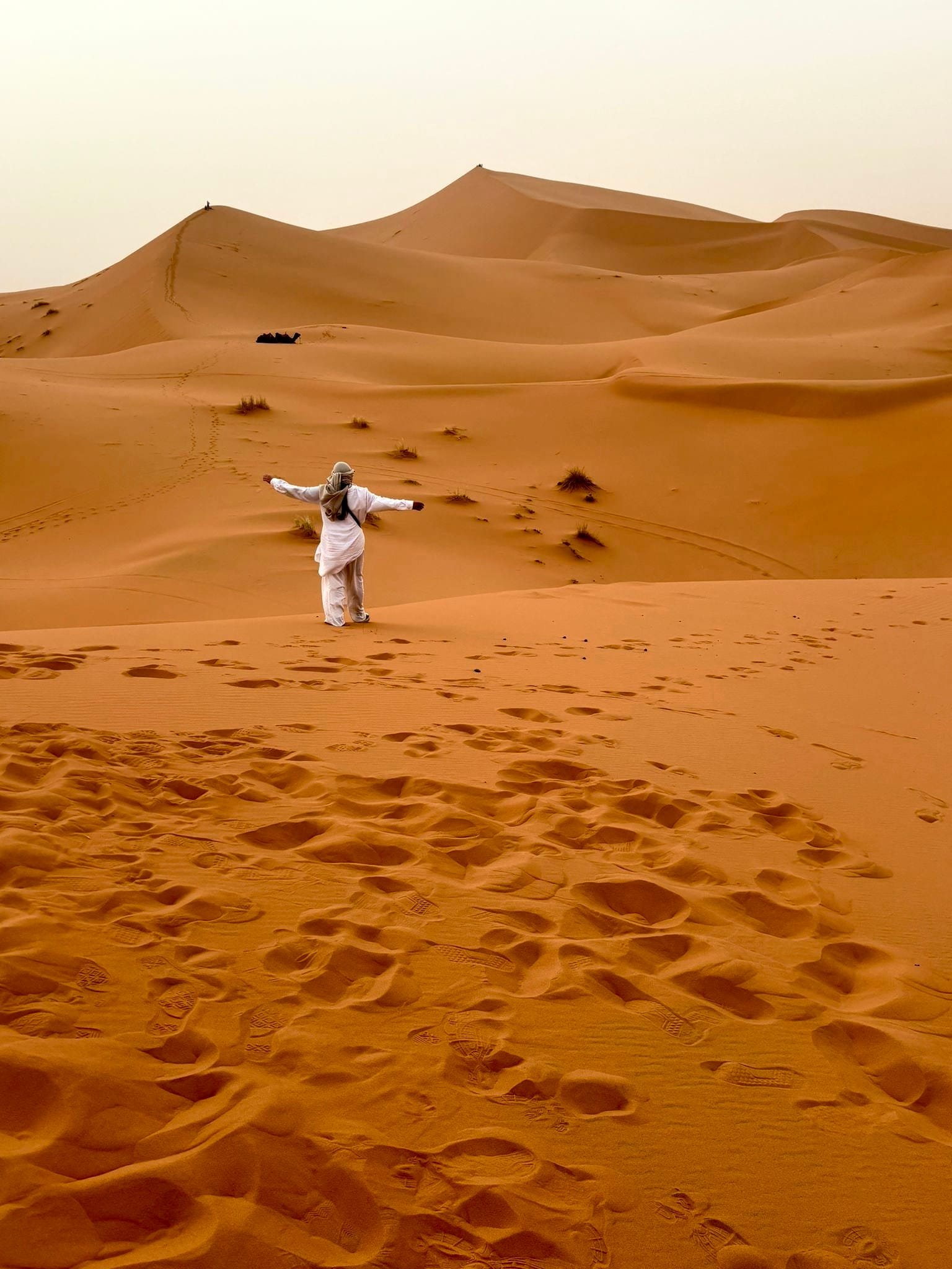 Fes to Marrakech Desert Tour — 3 Days