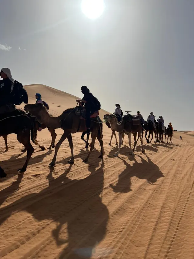 Sahara Desert